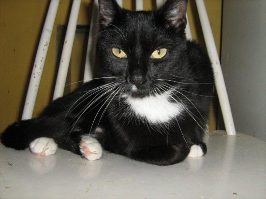Piękna Krysia